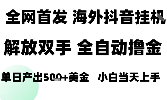 海外抖音无人直播，单日产出1.5k+，长期稳定，新手可玩，无脑操作【揭秘】-锦宝资源站