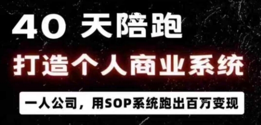 40天陪跑打造个人商业系统，一人公司，用SOP系统跑出百W变现-锦宝资源站