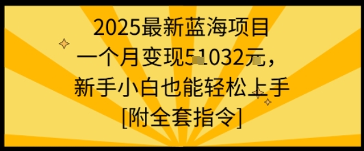 2025最新蓝海项目一个月变现1w+新手小白也能轻松上手【附全套指令】-锦宝资源站