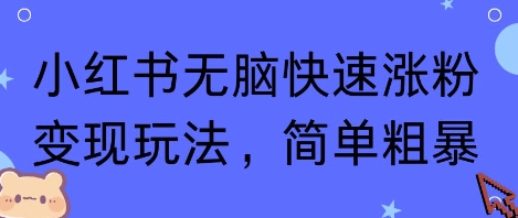 小红书无脑快速涨粉变现玩法，简单粗暴-锦宝资源站