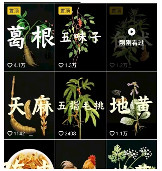 抖音中草药赛道，用AI做中草药故事视频，45条作品涨粉13W，橱窗带货猛猛出单-锦宝资源站
