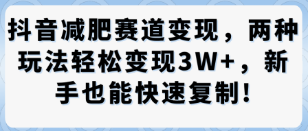 抖音减肥赛道变现，两种玩法轻松变现3W+，新手也能快速复制-锦宝资源站