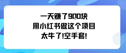一天挣了9张用小红书做这个项目太牛了，空手套-锦宝资源站