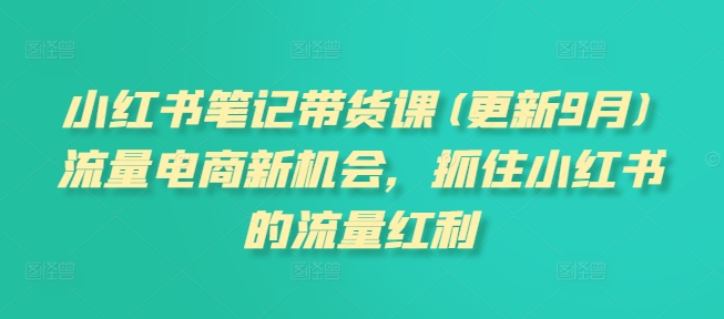 小红书笔记带货课(更新25年9月)流量电商新机会，抓住小红书的流量红利-锦宝资源站