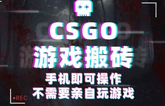 CSGO游戏挂G捡漏，单日扫货5张+，年底小高峰上车可吃肉，手机即可操作，兼职副业创业网创【揭秘】-锦宝资源站